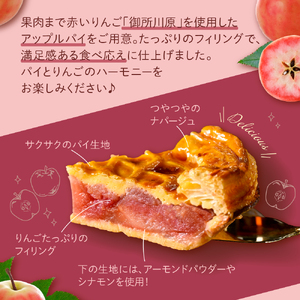 【季節限定】 果肉まで赤～いりんごのアップルパイ （21cmホール）【 青森県 五所川原市 お取り寄せ 】