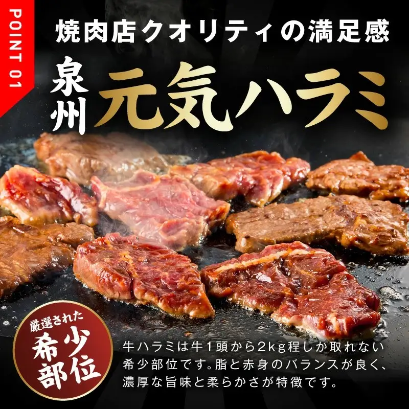 牛ハラミ肉 1kg（ハラミ 300g×3P+牛すじ 100g）