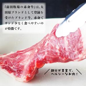 大田原ブランド認定牛 前田牧場の赤身牛 フィレ ステーキ セット 150g×2枚 | 牛肉 ブランド牛 ステーキ