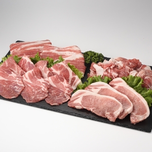 丸福 肉の定期便 【6回】｜牛肉定期便【Z029】