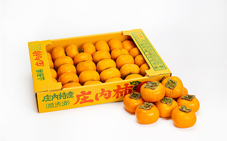 ≪2026年先行予約≫【仲野観光果樹園】ご家庭用 山形県産 庄内柿 5kg(25～31個) 2026年10月下旬から順次発送 柿 かき デザート フルーツ 果物 くだもの 果実 食品 山形県 F2Y-5547