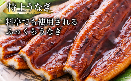 うなぎ 蒲焼 特大 1尾 約250g うなぎ
