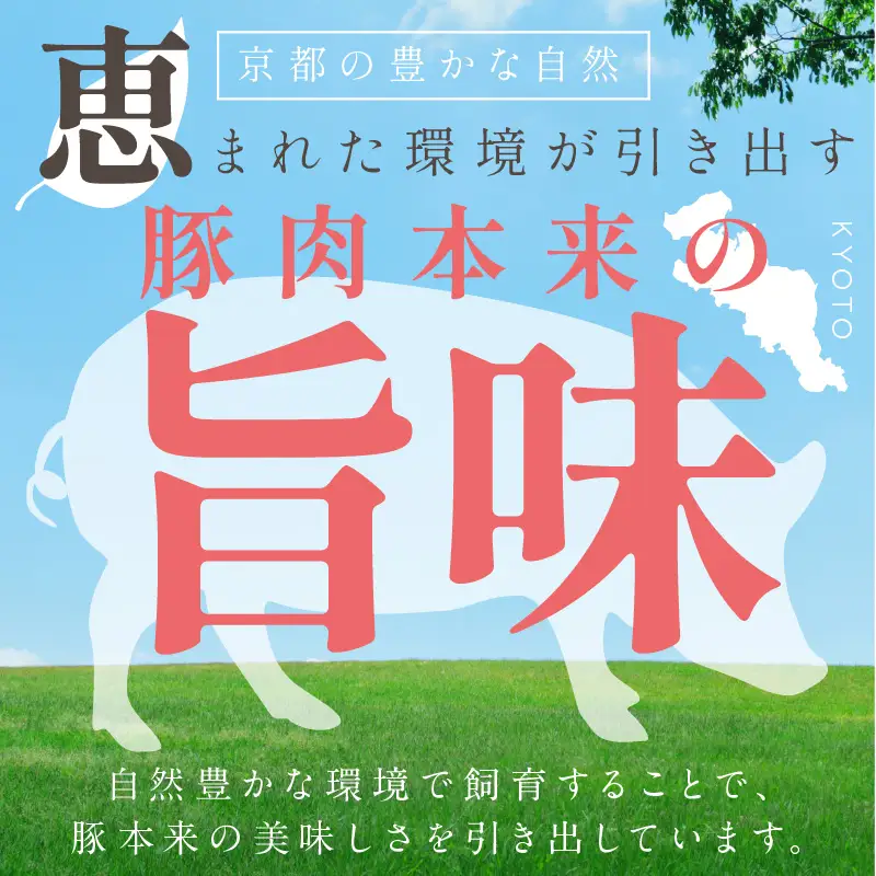 【3ヶ月定期便】京都産こだわりの豚肉 こま切れ　2kg （250g×8パック）
