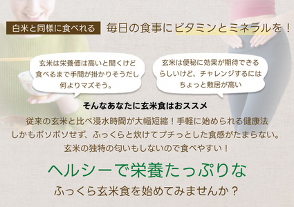 【令和7年産】【6ヶ月定期便】【炊飯器で普通に炊ける玄米】 ふっくら玄米食 6kg（2kg×3）×6回 新潟県 阿賀野市産 米杜氏 壱成 特別栽培コシヒカリ 1H33133