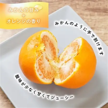 先行受付!　はれひめ(みかんの希少種)　秀品　25個～30個入　約5kg【1485755】