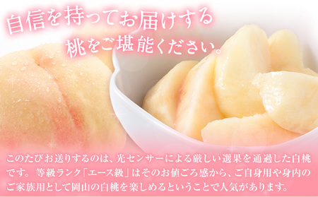 岡山の白桃 エース 約1.5kg(5～6玉) 【配送不可地域あり】