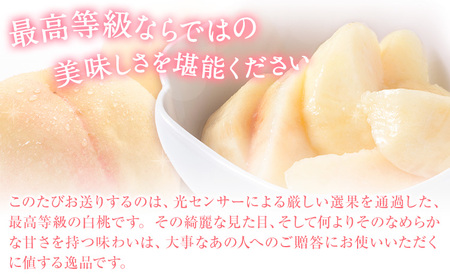 岡山の白桃 ロイヤル 約1.5kg(5～6玉) 岡山農業協同組合 鴨方支店 【配送不可地域あり】