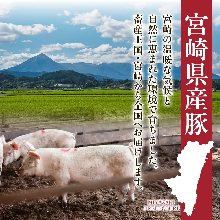 宮崎県産豚肉バラスライス3kg(真空)〔18-8907〕_(都城市) 宮崎県産 真空 バラスライス 愛情たっぷり ストック ジューシー 濃厚 野菜炒め 肉巻き 煮物 お好み焼き