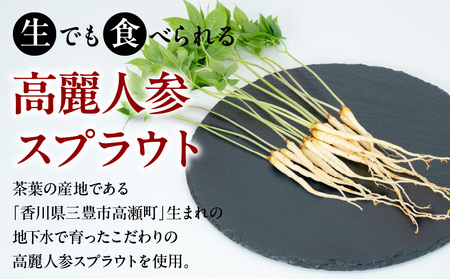 高麗人参スプラウトをまるごと漬け込んだ醤油と米酢セット