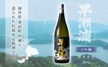 入手困難【早瀬浦】大吟醸 1800ml × 1本【日本酒 地酒 福井 美浜 早瀬 フルーティ 男酒 硬水 ミネラル 希少 ご褒美 家飲み 就職祝い 転職祝い ハレの日 敬老の日 プレゼント】[m16-d006]