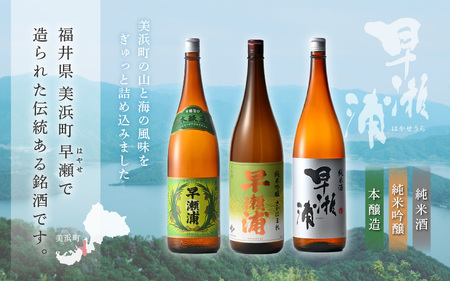 入手困難【早瀬浦】純米吟醸 さかほまれ 1800ml ＆ 純米酒 1800ml ＆ 本醸造 1800ml × 各1本ずつ セット【飲み比べ 日本酒 地酒 福井 美浜 早瀬 フルーティ 男酒 硬水 ミネラル 希少 ご褒美 家飲み】[m16-d012]
