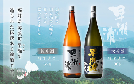 入手困難【早瀬浦】大吟醸 1800ml × 1本 ＆ 純米酒 1800ml × 2本 セット【飲み比べ 日本酒 地酒 福井 美浜 早瀬 フルーティ 男酒 硬水 ミネラル 希少 ご褒美 家飲み 敬老の日 プレゼント 】[m16-g002]