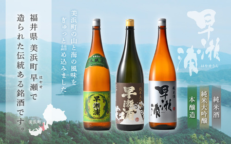 入手困難【早瀬浦】純米大吟醸 1800ml ＆ 純米酒 1800ml ＆ 本醸造 1800ml × 各1本ずつ セット【飲み比べ 日本酒 地酒 福井 美浜 早瀬 フルーティ 男酒 硬水 ミネラル 希少 ご褒美 家飲み 敬老の日 プレゼント】[m16-g001]