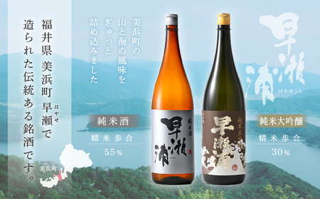 入手困難【早瀬浦】純米大吟醸 1800ml × 1本 ＆ 純米酒 1800ml × 2本 セット【飲み比べ 日本酒 地酒 福井 美浜 早瀬 フルーティ 男酒 硬水 ミネラル 希少 ご褒美 家飲み 敬老の日 プレゼント】[m16-h001]