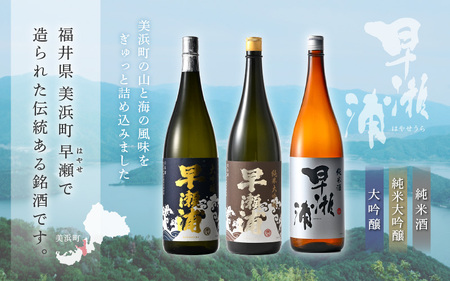 入手困難【早瀬浦】純米大吟醸 1800ml × 1本 ＆ 大吟醸 1800ml × 2本 ＆ 純米酒 1800ml × 1本 セット【飲み比べ 日本酒 地酒 福井 美浜 早瀬 フルーティ 男酒 硬水 ミネラル 希少 ご褒美 家飲み 就職祝い 転職祝い ハレの日 敬老の日 プレゼント】 [m16-l001]