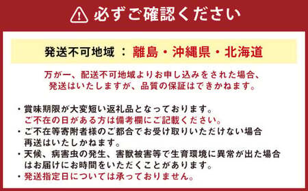 152-1057 【北海道・沖縄県・離島への配送不可】 豊後大野市の旬の お野菜 くだもの セット 8～10品 大分県産 フルーツ 旬 青果 