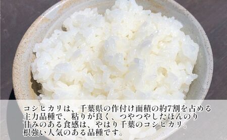 【定期4ヶ月】コシヒカリ　白米　5kg　令和7年産 お米 銘柄米 ご飯 おにぎり お弁当 和食 食卓 精米 国産 千葉県産 産地直送 