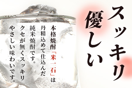 メガボトル！ 球磨焼酎【米一石】4L エコペット 25度 米焼酎 蔵元直送 4リットル パーティサイズ TWSC金賞 酒 米 米焼酎 純米 焼酎 受賞歴 大容量 熊本 球磨 球磨焼酎 多良木町 040-0585