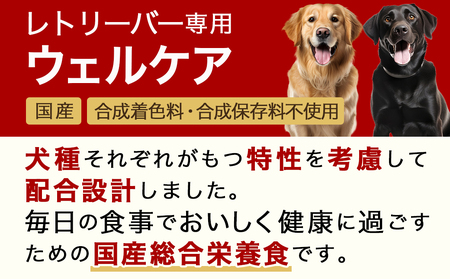 ドッグフード(レトリーバー専用)アダルト6kg_LG-3315_(都城市) 国産総合栄養食 ドライフード レトリーバー専用 大粒タイプ アダルト用 健康維持 犬種別 犬用フード