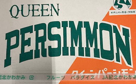 【先行予約】 大玉サイズ 平たねなし柿 「クイーンパーシモン」 約4kg 10玉～12玉おまかせ 和歌山県産｜かき フルーツ 柿 果物 くだもの 和歌山県産