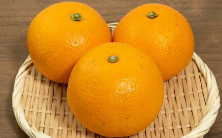 【希少品】和歌山県産 紅八朔 約5kg（サイズ混合）柑橘 フルーツ はっさく