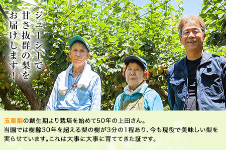 上田果樹園の元祖！玉東梨(旬の品種をお届けします)約3kg(4玉-10玉)  《7月下旬-9月下旬出荷頃》 熊本県玉名郡玉東町 ｜ブランド梨 人気梨 特産品梨 熊本県梨 玉東町梨 大人気返礼品