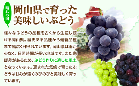 【2026年発送】シャインマスカット 2kg  ひらた農園 マスカット