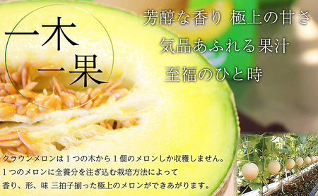 【12ヶ月定期便】クラウンメロン【上(山等級)】中玉(1.3kg前後)1玉入り 果物 メロン青肉 フルーツ デザート 高級ブランドメロン 高級メロン ブランドメロン 