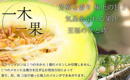 【12ヶ月定期便】クラウンメロン【上(山等級)】中玉(1.3kg前後)2玉入り 果物 メロン青肉 フルーツ デザート 高級ブランドメロン 高級メロン ブランドメロン 