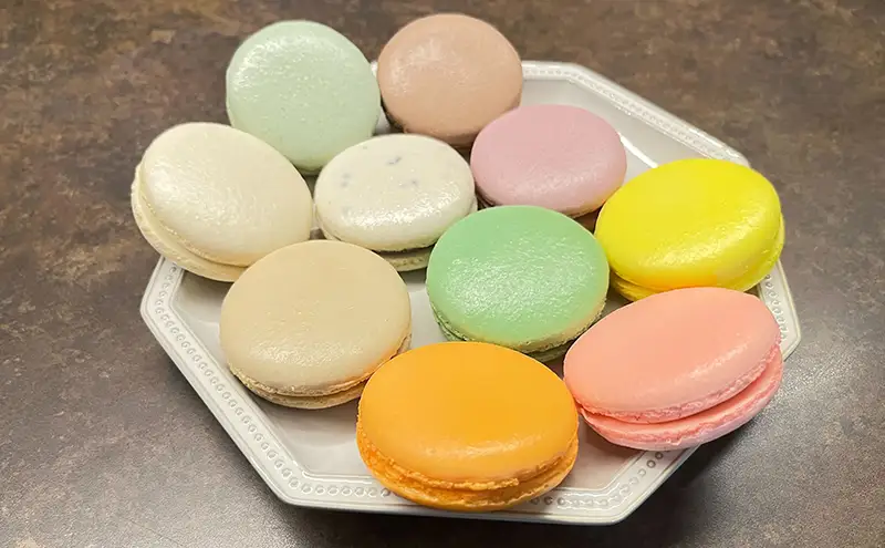マカロン ディス 10種類 セット エリティエ 詰め合わせ スイーツ デザート おやつ お菓子 菓子 洋菓子 焼き菓子 焼菓子 チョコレート ごま カシス バニラ お茶 アプリコット キャラメル レモン フランボワーズ ピスターシュ 東京 東京都 食品 飲料