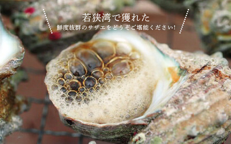  天然 サザエ 約8～12個 約700g (350g × 2P) 活さざえ そのままボイル！ [m17-a050]