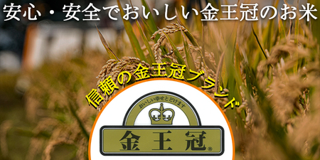 北海道産 ななつぼし 10kg(5kg×2袋) 令和7年産 YES!clean 北海道安心ラベル 道産米 NP1-478