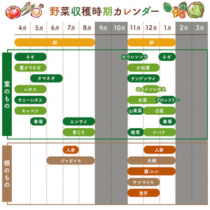 12月発送　農薬・化学肥料を持たない農家の野菜（7～10種類）と 平飼有精卵のセット mi0036-0017-12 野菜