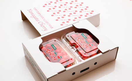 【定期便5回】令和フルーツ便り～旬を届ける～ 【令和8年産先行予約】FS25-614 くだもの 果物 フルーツ 山形 山形県 山形市 2026年産