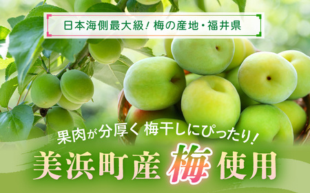 【へしこの町】福井 梅干し 300g × 1個 ＆ 美浜産 へしこ × 1本 Aセット【鯖 サバ さば 福井 美浜 若狭 名産 郷土料理 ぬか漬け 糠漬け 発酵 コシヒカリ つまみ 酒の肴 珍味 伝統 うめぼし 三方 自家製 敬老の日 ギフト プレゼント】 [m20-a008]