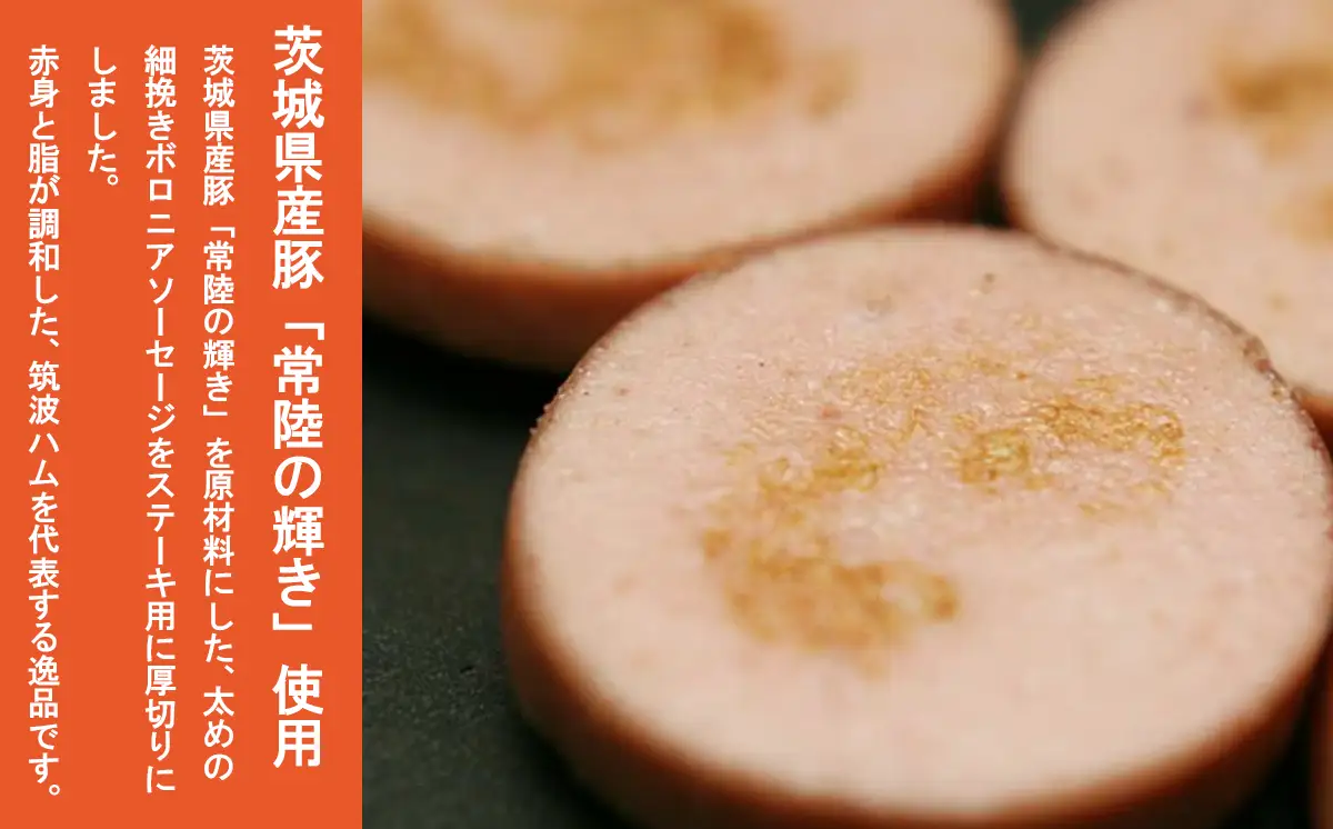 ソーセージ 炭火仕上げ ポークソーセージステーキ 120g×4P 筑波ハム