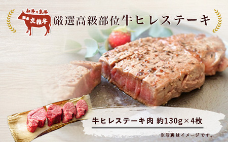 厳選高級部位牛ヒレステーキ4枚(約520g)  ヒレ肉