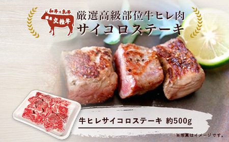 厳選高級部位牛ヒレ肉サイコロステーキ500g ヒレ肉