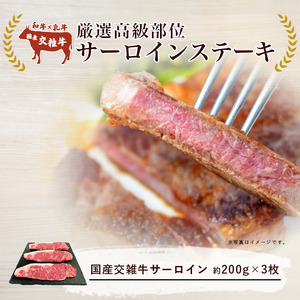 ステーキ サーロインステーキ 3枚入 600g