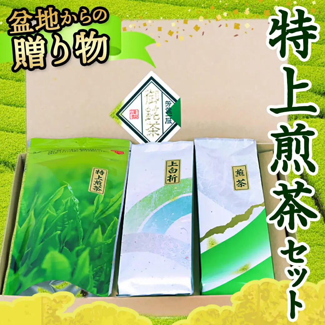 盆地からの贈り物 特上煎茶セット_AA-4801_(都城市) 茶葉 特上煎茶 上白折 煎茶 各100グラム お茶の産地 最高級品 一番茶 Green Tea 水出し ギフト 家庭用 日本茶