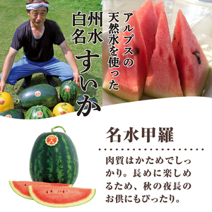 【2026年先行予約】北杜市白州産すいか「すいかばか！」のこだわりの特選すいか セレブシリーズと名水甲羅の中から2玉セット [h047]