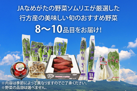 【『行方かんしょ』入り】JA　季節の野菜＆芋焼酎（AE-5）