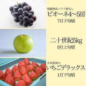 フルーツ 定期便 3種 果物 鳥取県産 ゆりはま 1 | 35M