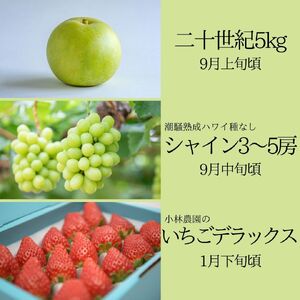 フルーツ 定期便 3種 果物 鳥取県産 ゆりはま 2 | 36M