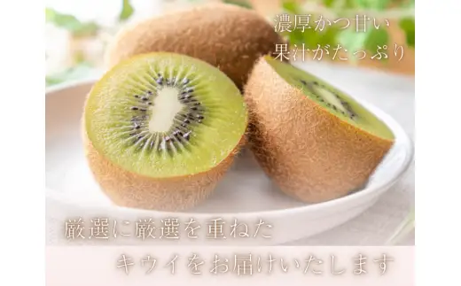 厳選 キウイ0.5kg+250g（傷み補償分）【扁平果】 / 和歌山 フルーツ 果物 くだもの ※2026年11月中旬より2027年4月下旬頃順次発送予定 ※北海道・沖縄・離島配送不可 【ikd700B】