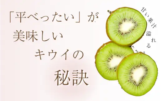 わけあり キウイ 1kg+250g（傷み補償分） 扁平果 / 和歌山 家庭用 フルーツ 果物 くだもの ※2026年11月中旬より2027年4月下旬頃順次発送予定 ※北海道・沖縄・離島配送不可 【ikd701B】
