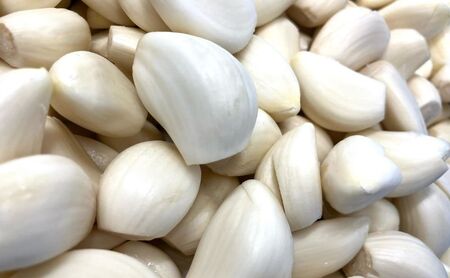 にんにく餃子110個(22個入×5袋)2ヶ月毎6回お届け 惣菜 冷凍餃子 中華 夕飯 夜ごはん おかず お酒のあて おつまみ ビールのおつまみ 