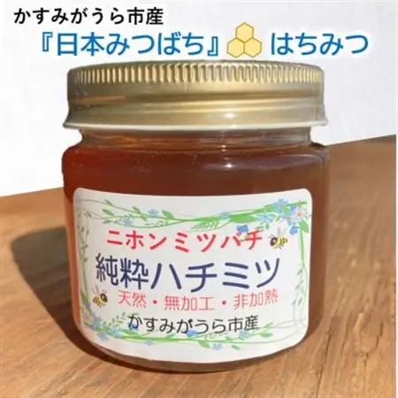 かすみがうら市産　『日本みつばち』の純粋はちみつ ＆ ブルーベリージャム_調味料 はちみつ  ハチミツ 蜂蜜  惣菜・加工品 ジャム 缶詰・瓶詰 _【1489614】