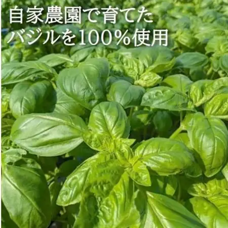 濃厚・無添加　バジルソース(ジェノベーゼソース)　瓶　100g×3本【配送不可地域：離島】【1490590】