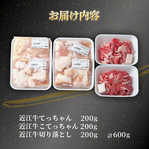 近江牛 モツ鍋 セット 600g 冷凍 ( もつ 鍋 切り落とし もつ鍋 てっちゃん こてっちゃん 和牛 黒毛和牛 ブランド和牛 牛肉 三大和牛 贈り物 ギフト 国産 滋賀県 竜王町 岡喜 神戸牛 松阪牛 に並ぶ 日本三大和牛 ふるさと納税 )